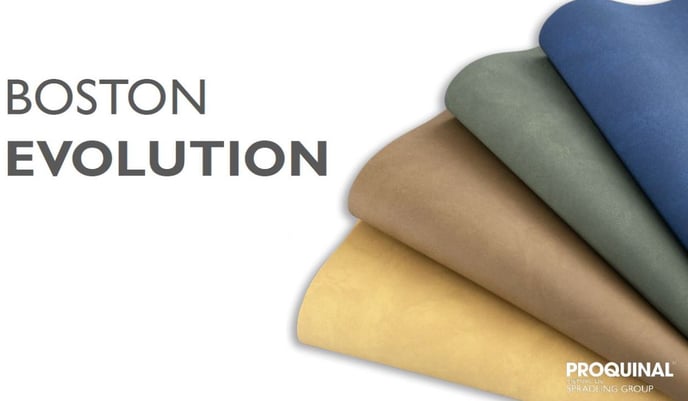 Boston Evolution