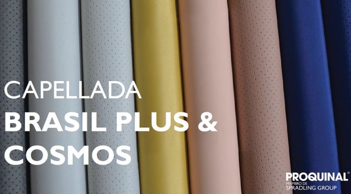 Brasil Plus y Cosmos