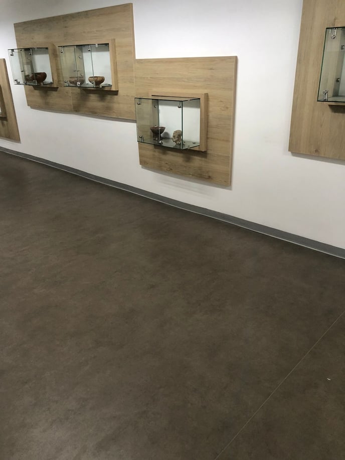 CIPRES PINNACLES Universidad UTP Pereira- FOTO2 Onix