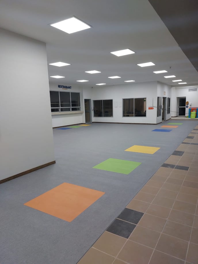 OPTIMISE proy Pereira 1