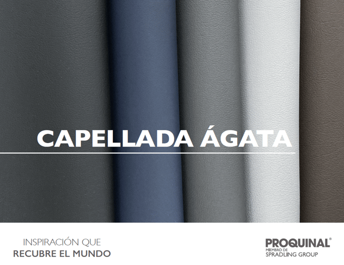 image-png-Jan-19-2024-02-03-22-1703-PM