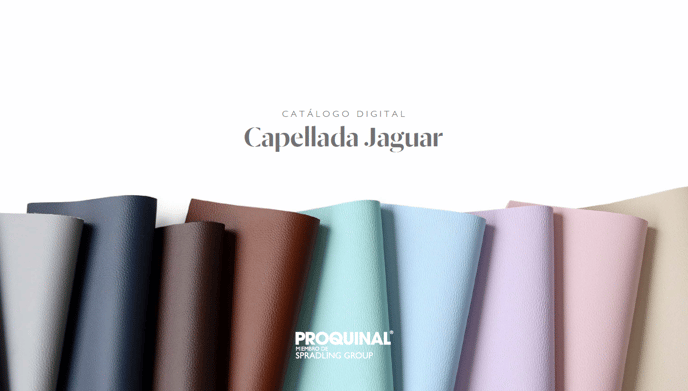 image-png-Jan-19-2024-02-07-22-0916-PM